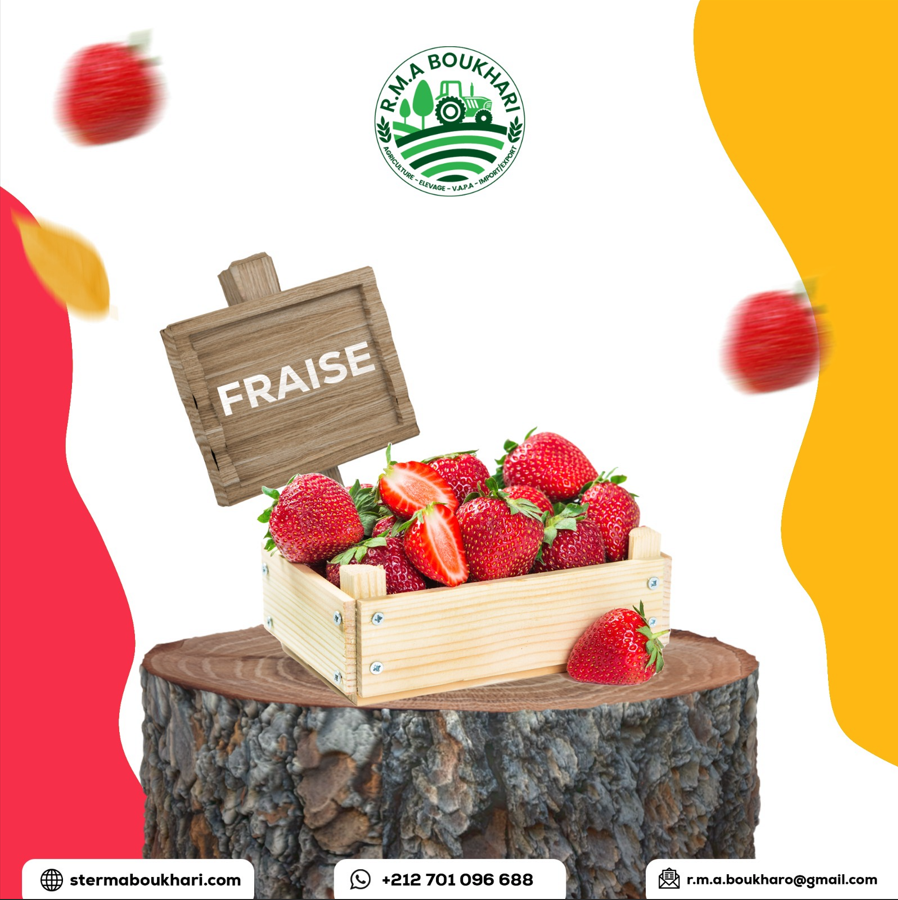 RMA BOUKHARI Strawberry Packaging