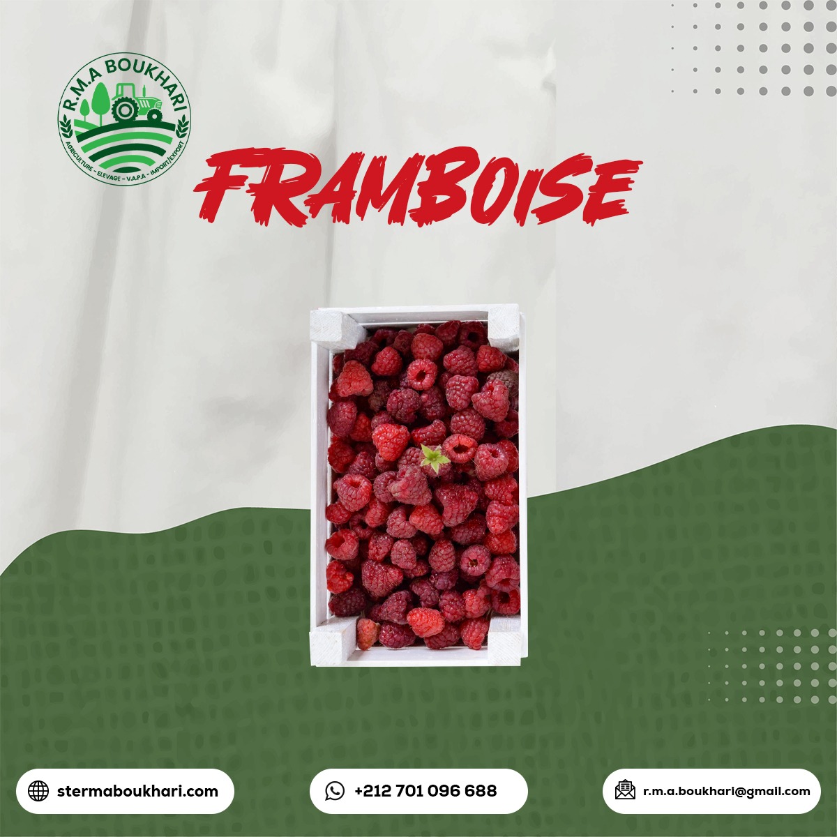 RMA BOUKHARI Raspberry Packaging